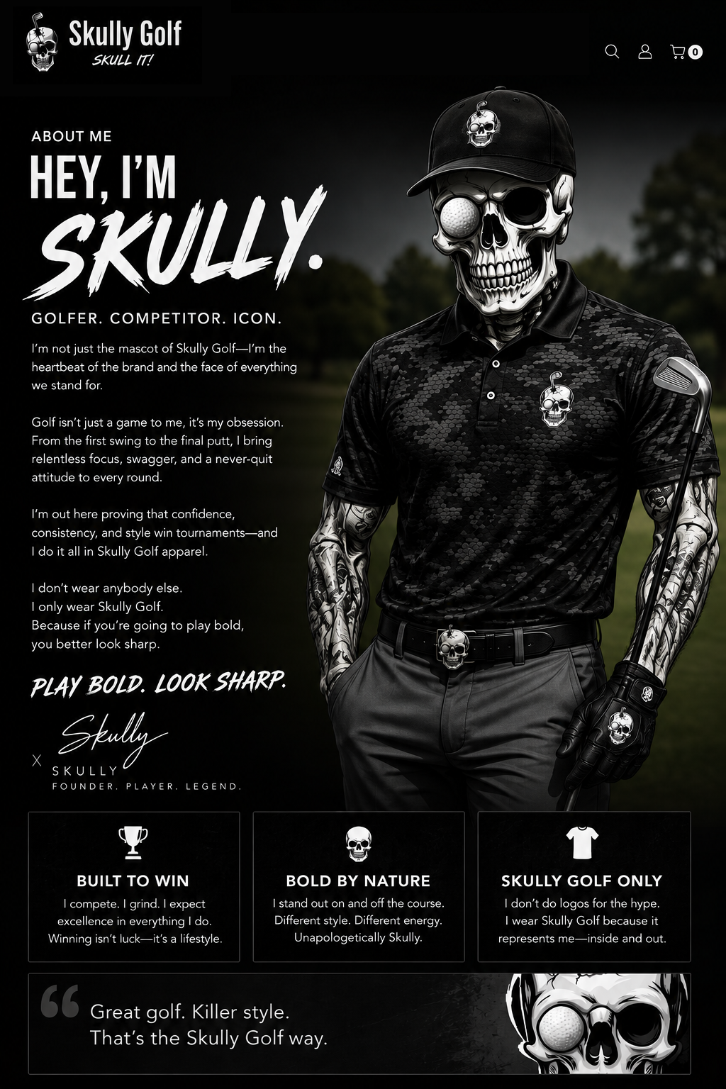 About Skully